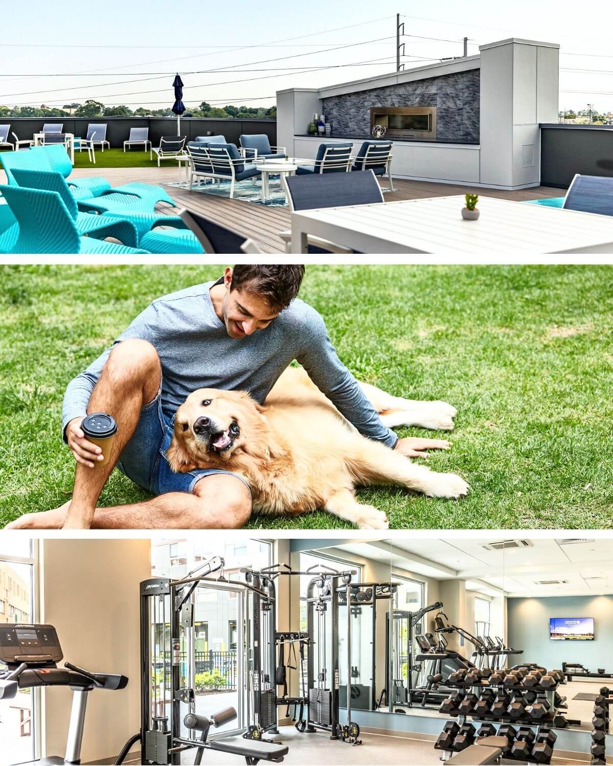 Outdoor area with seating. Man playing with dog and view of gym