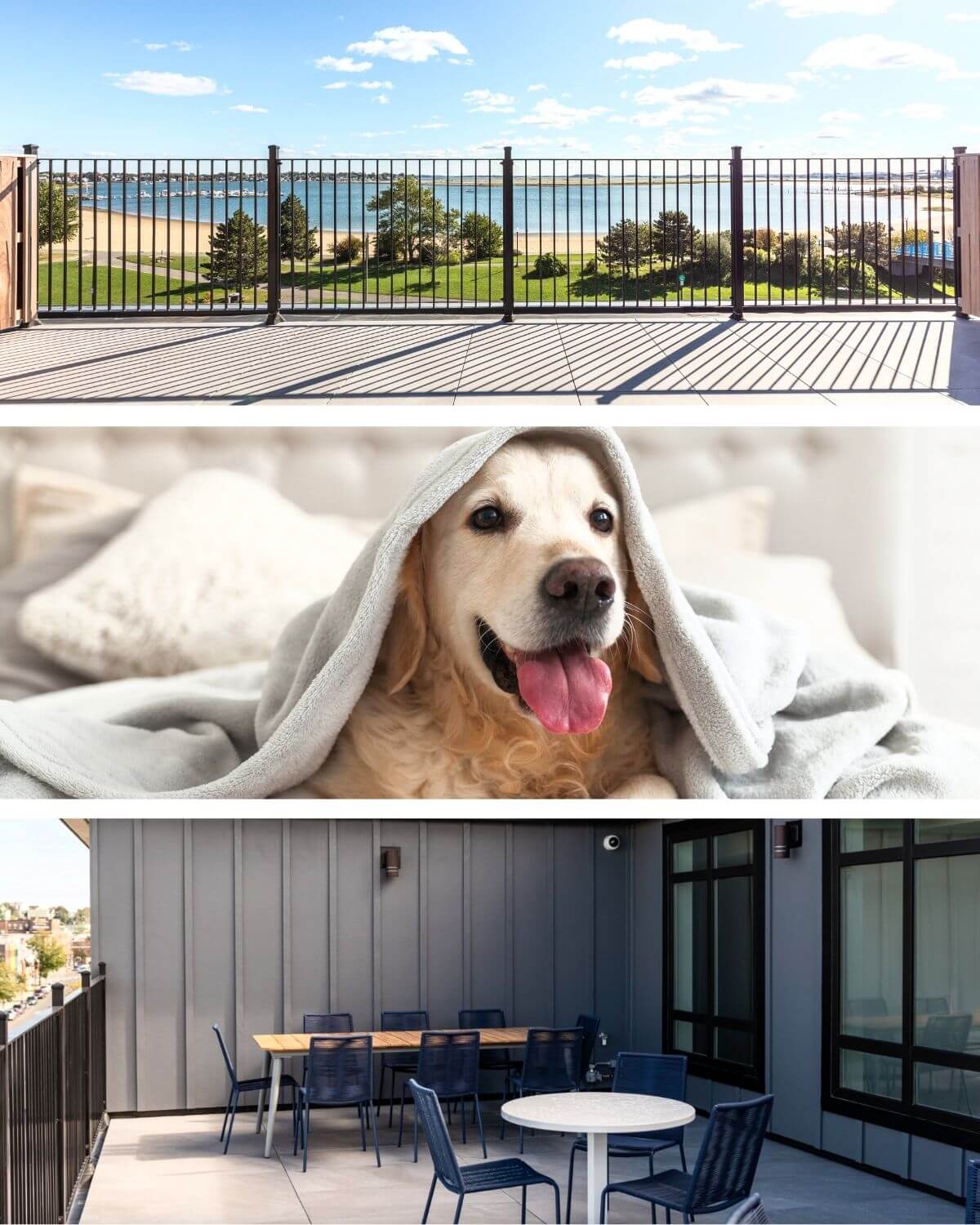 View of the water, outdoor terrace area and a dog underneath a blanket