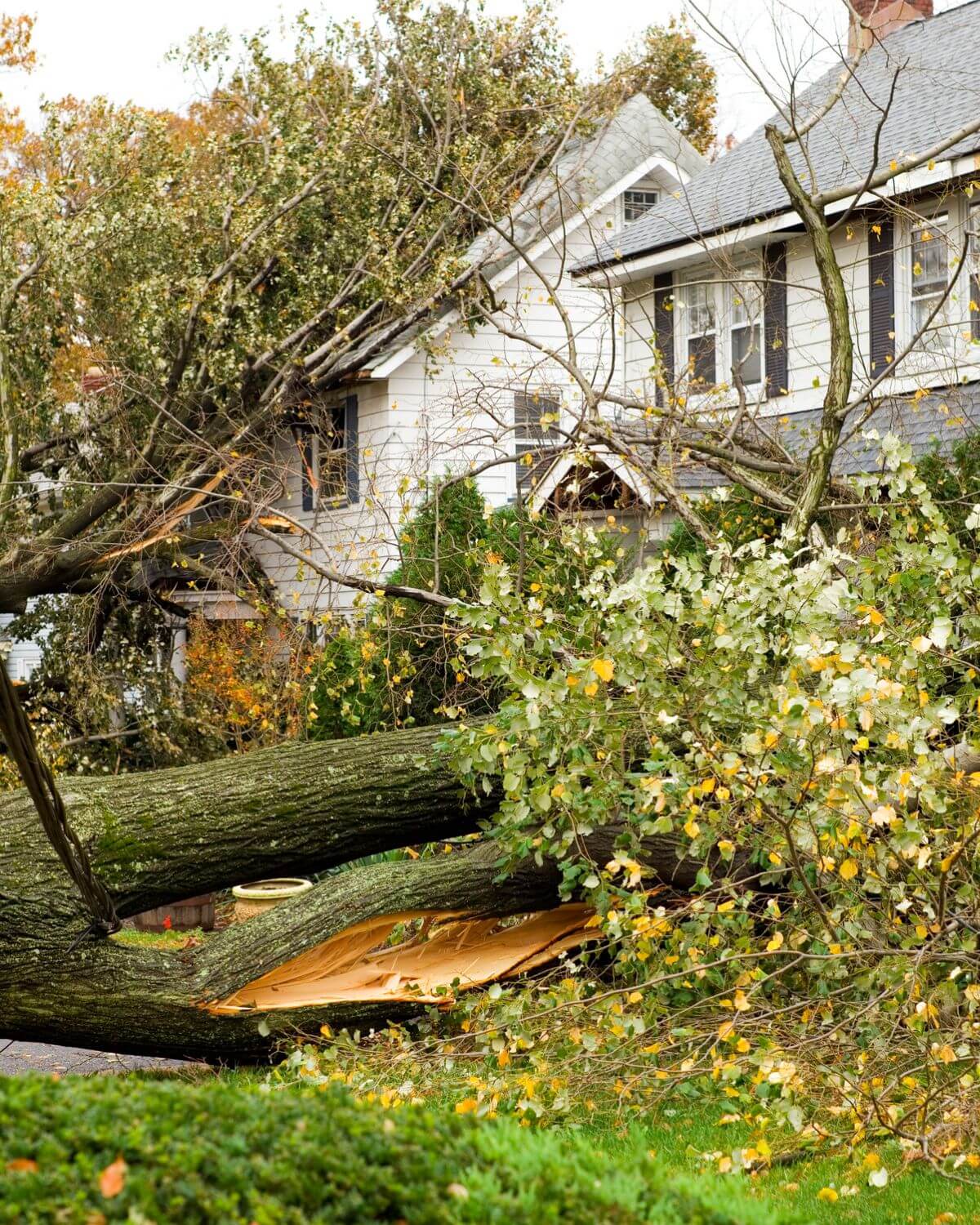 insurance housing solutions for disasters or other home emergencies