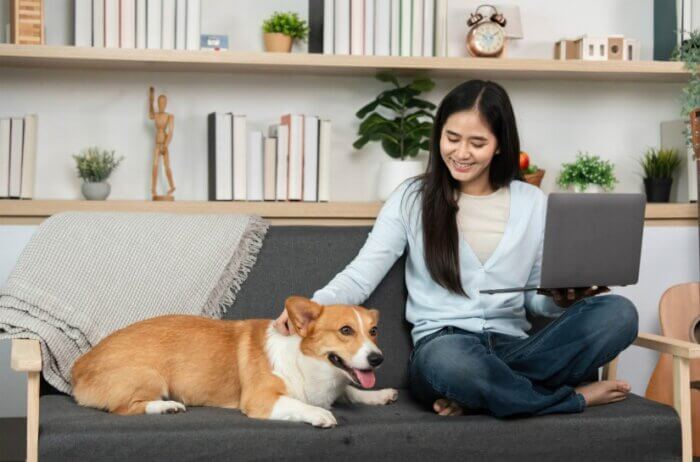 pet friendly apartment in Boston