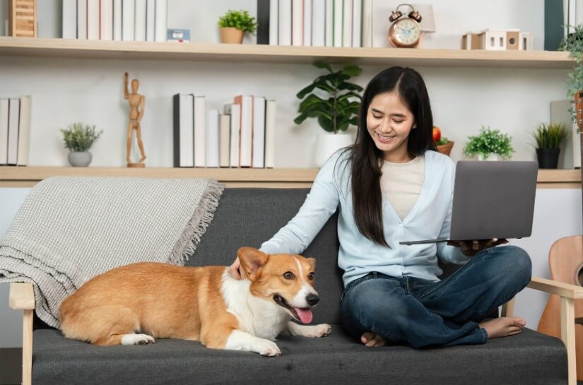 pet friendly apartment in Boston